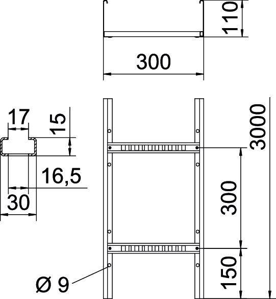 Technische Zeichnung eines Metallregals mit Maßen: Höhe 3000 mm, Breite 300 mm, Tiefe 110 mm. Abstand zwischen Querstreben 300 mm.