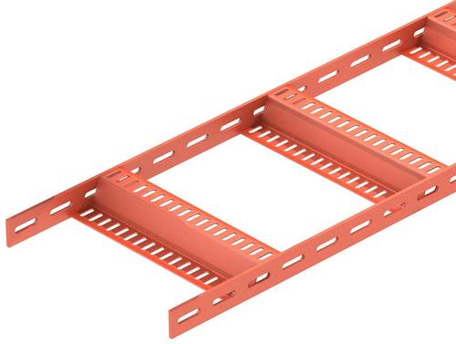 OBO Bettermann 7098166 Kabelleiter (L x B x H) 3m x 300.00mm x 40.00mm 3m