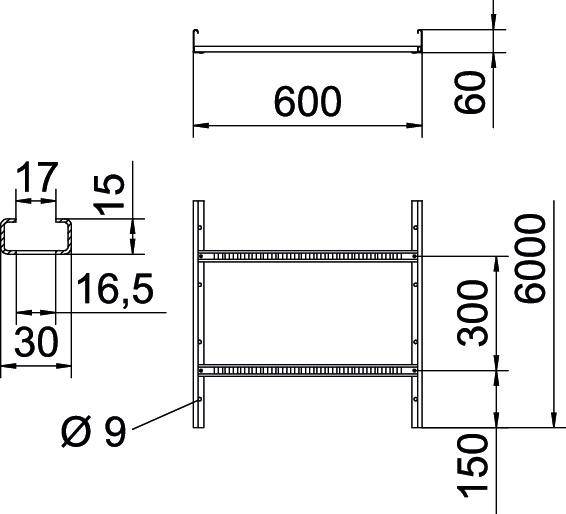 Detaillierte technische Zeichnung einer Metallleiter mit Maßen: Breite 600 mm, Höhe 6000 mm, Sprossenabstand 300 mm, Profiltiefe 30 mm.