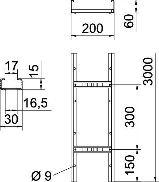 Technische Zeichnung einer Leiter mit Maßen: Höhe 3000 mm, Breite 200 mm, Sprossenabstand 300 mm, Durchmesser 9 mm.