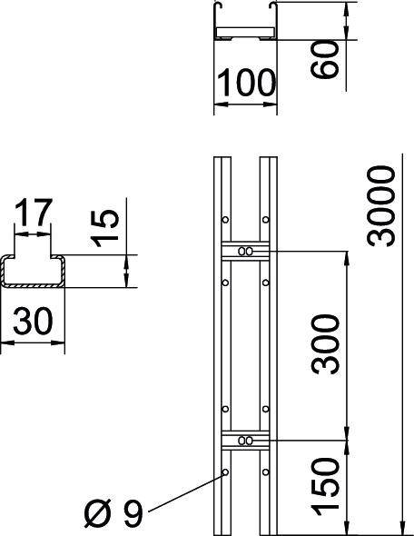 Technische Zeichnung eines Metallprofils mit Maßen: Breite 100 mm, Höhe 60 mm, Gesamthöhe 3000 mm. Lochdurchmesser 9 mm.