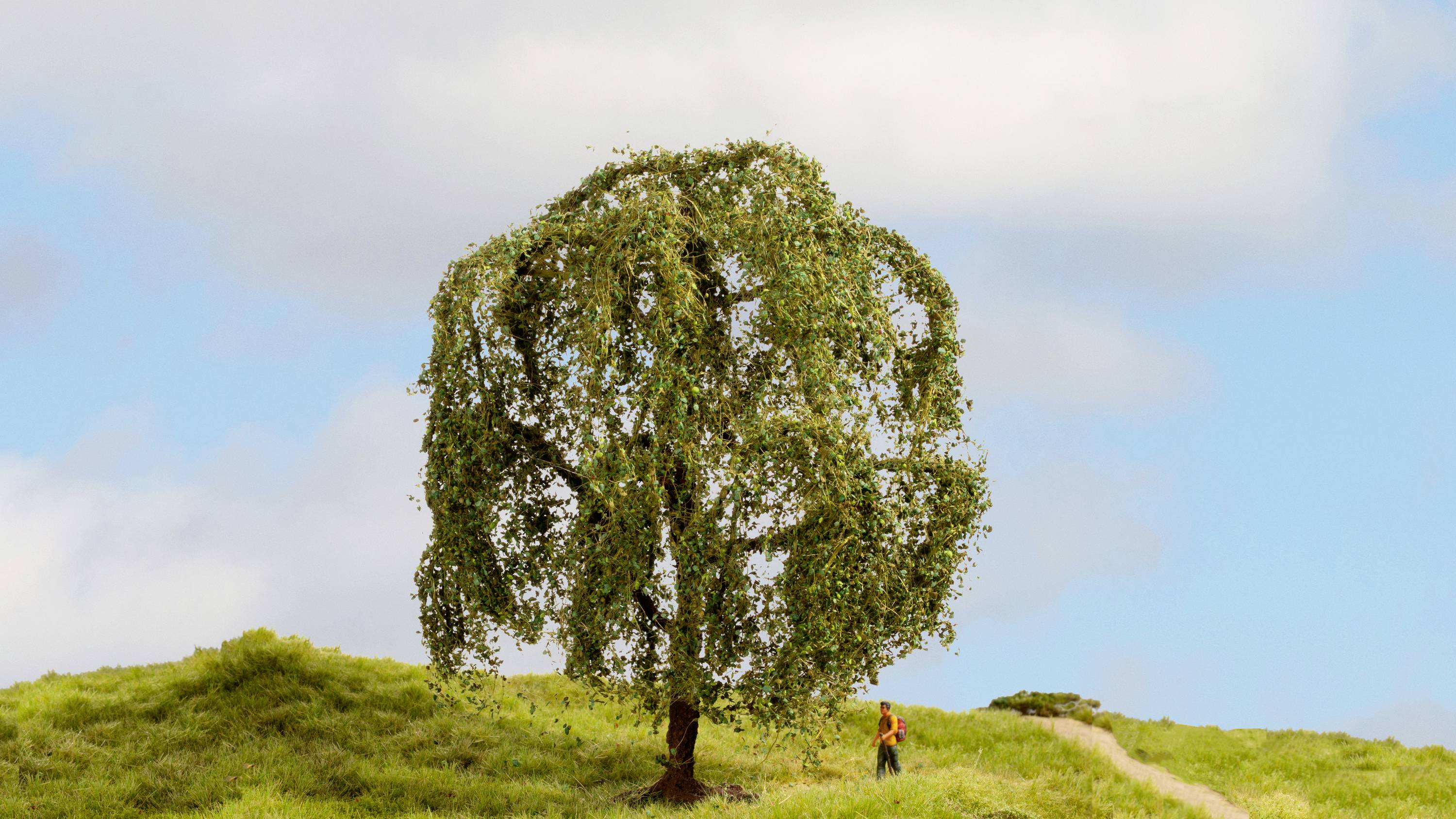 Ein einzelner Baum steht auf einem grünen Hügel unter blauem Himmel mit Wolken. Eine kleine Person wandert auf dem Weg neben dem Baum.