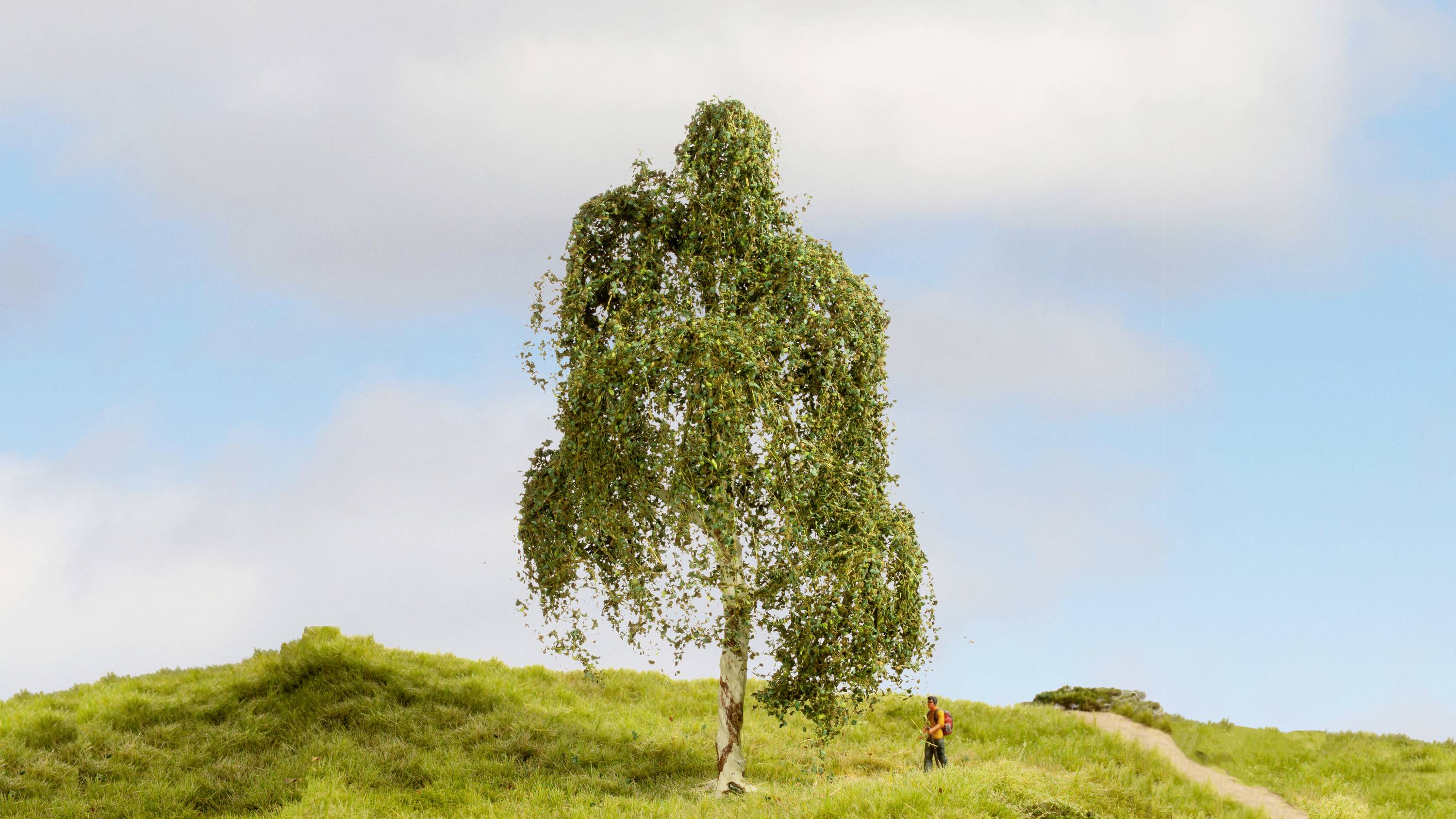Eine Person steht neben einem großen, grün belaubten Baum auf einem grünen Hügel unter blauem Himmel mit Wolken.