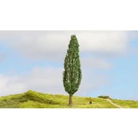 NOCH 20130 Baum Pappel 180 mm 1 St. NOCH 20130 Baum Pappel 180 mm 1 St.