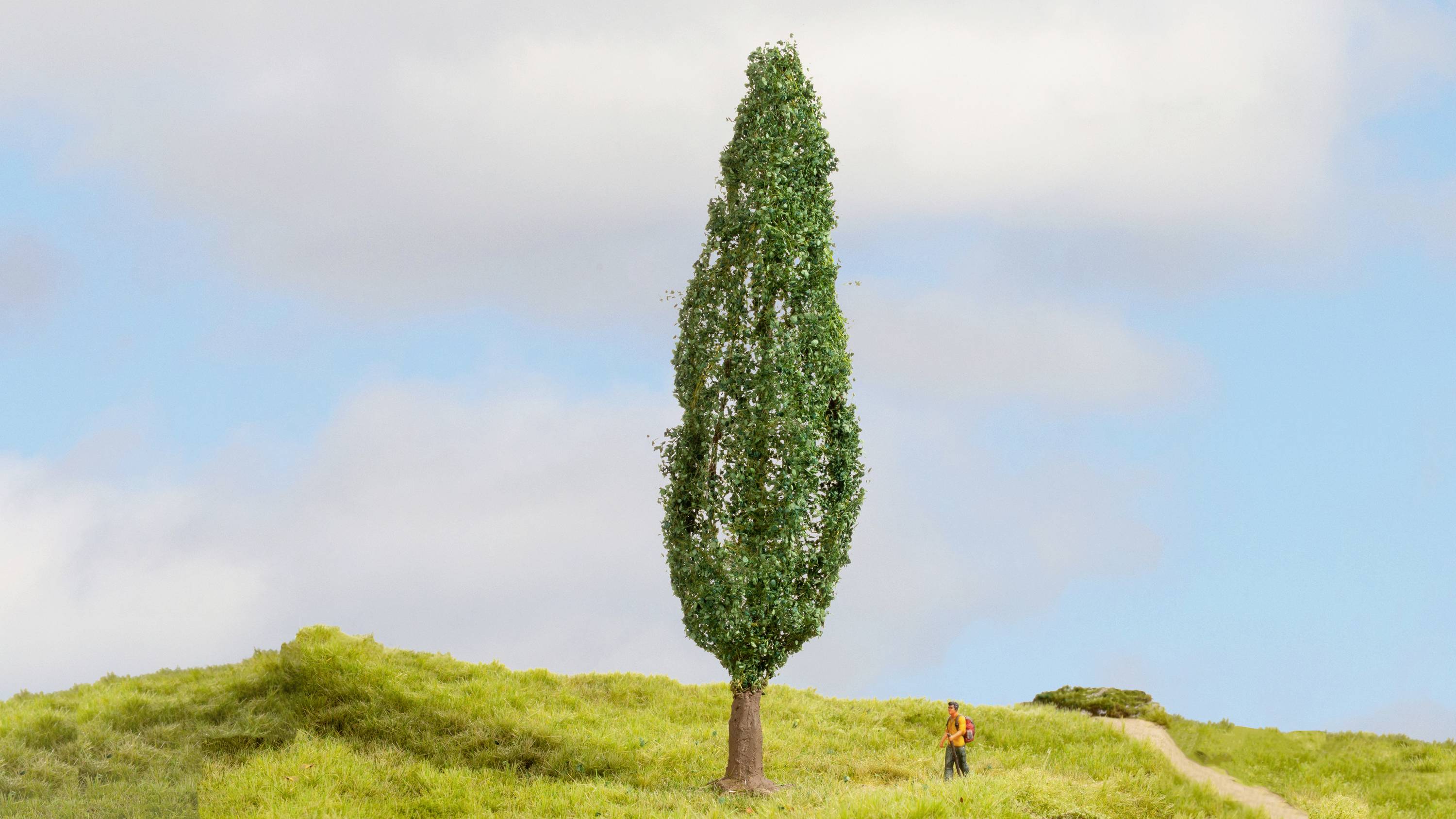 Ein hoher, schlanker Baum steht auf einem grünen Hügel unter einem blauen Himmel. Eine kleine Person geht in der Ferne vorbei.