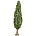 NOCH 20130 Baum Pappel 180 mm 1 St. NOCH 20130 Baum Pappel 180 mm 1 St.