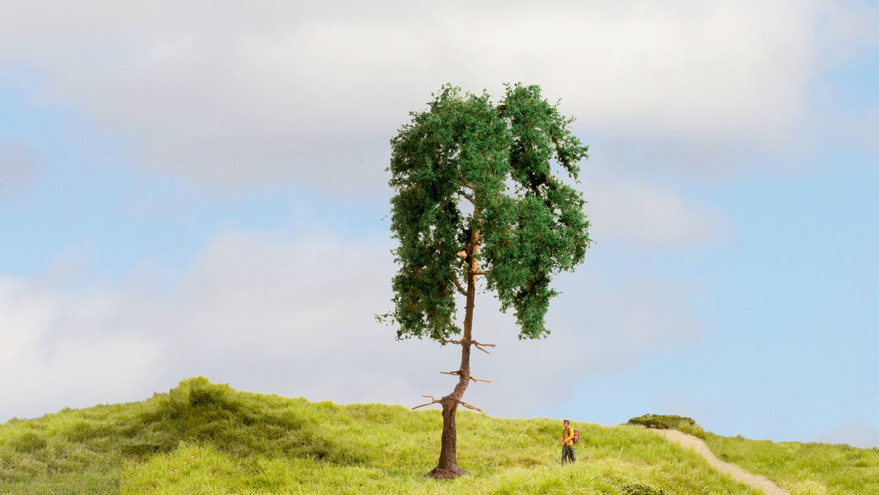Ein einzelner Baum steht auf einem grünen Hügel, daneben eine kleine Person auf einem Pfad, unter einem blauen Himmel mit Wolken.