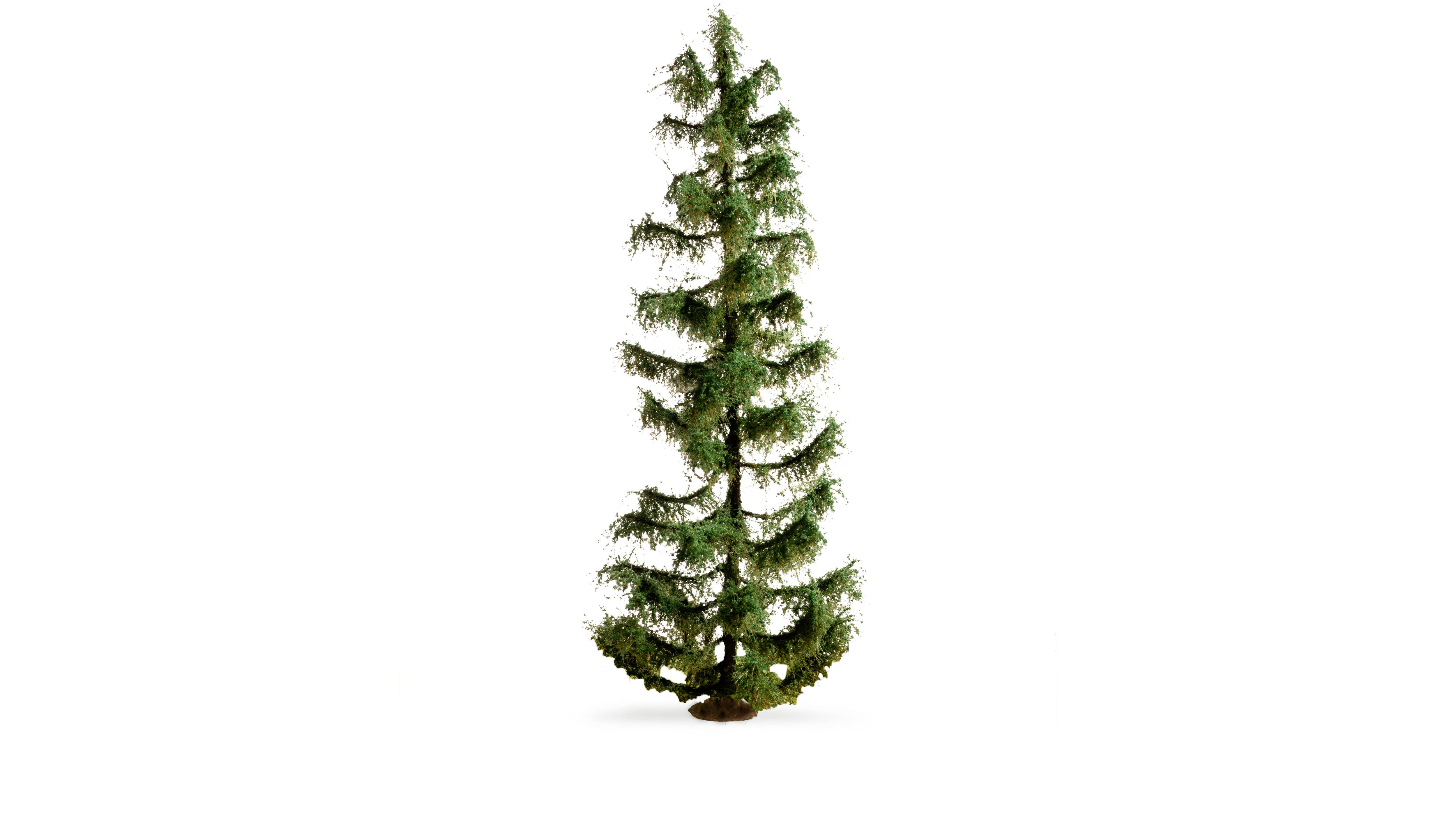 Ein einzelner grüner Tannenbaum steht vor einem weißen Hintergrund. Der Baum hat eine symmetrische, kegelförmige Struktur.