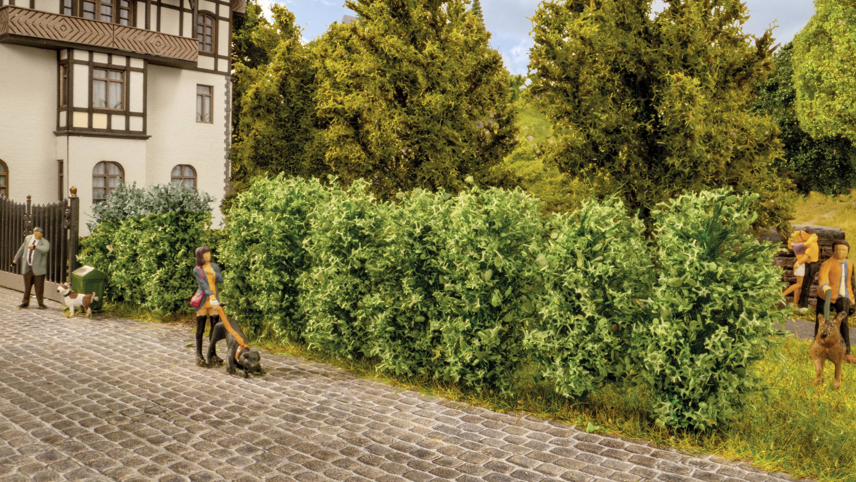 Eine Frau mäht den Rasen entlang einer Hecke auf einem gepflasterten Weg. Im Hintergrund ist ein Haus und mehrere Bäume zu sehen.