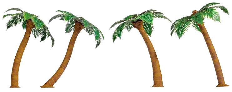 Vier gebogene Palmen mit grünen Blättern stehen nebeneinander auf weißem Hintergrund.
