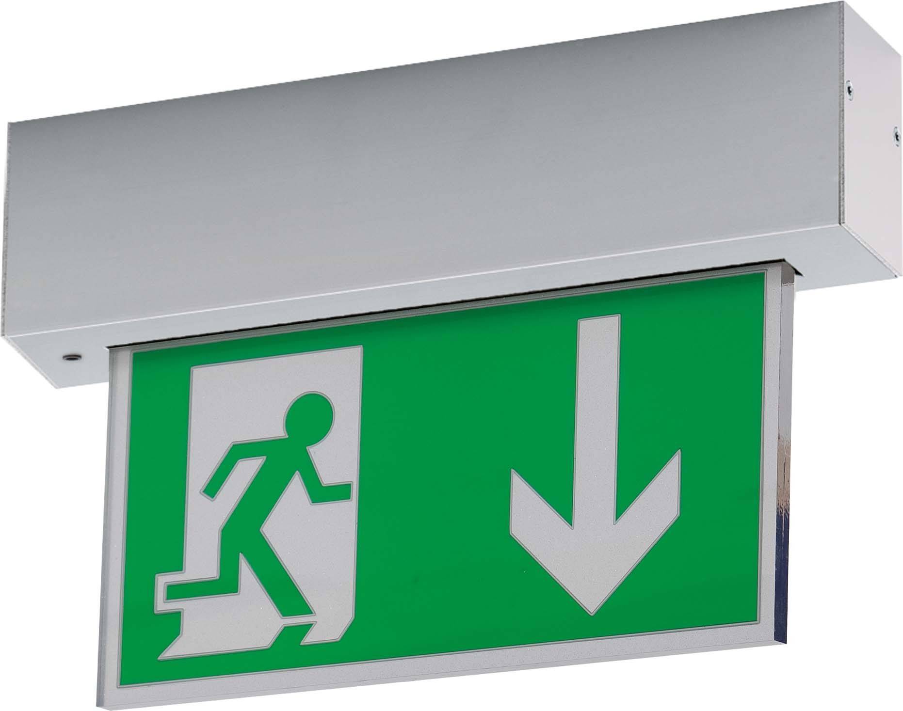 RIDI 1627226AF419 Fluchtweg-Notbeleuchtung