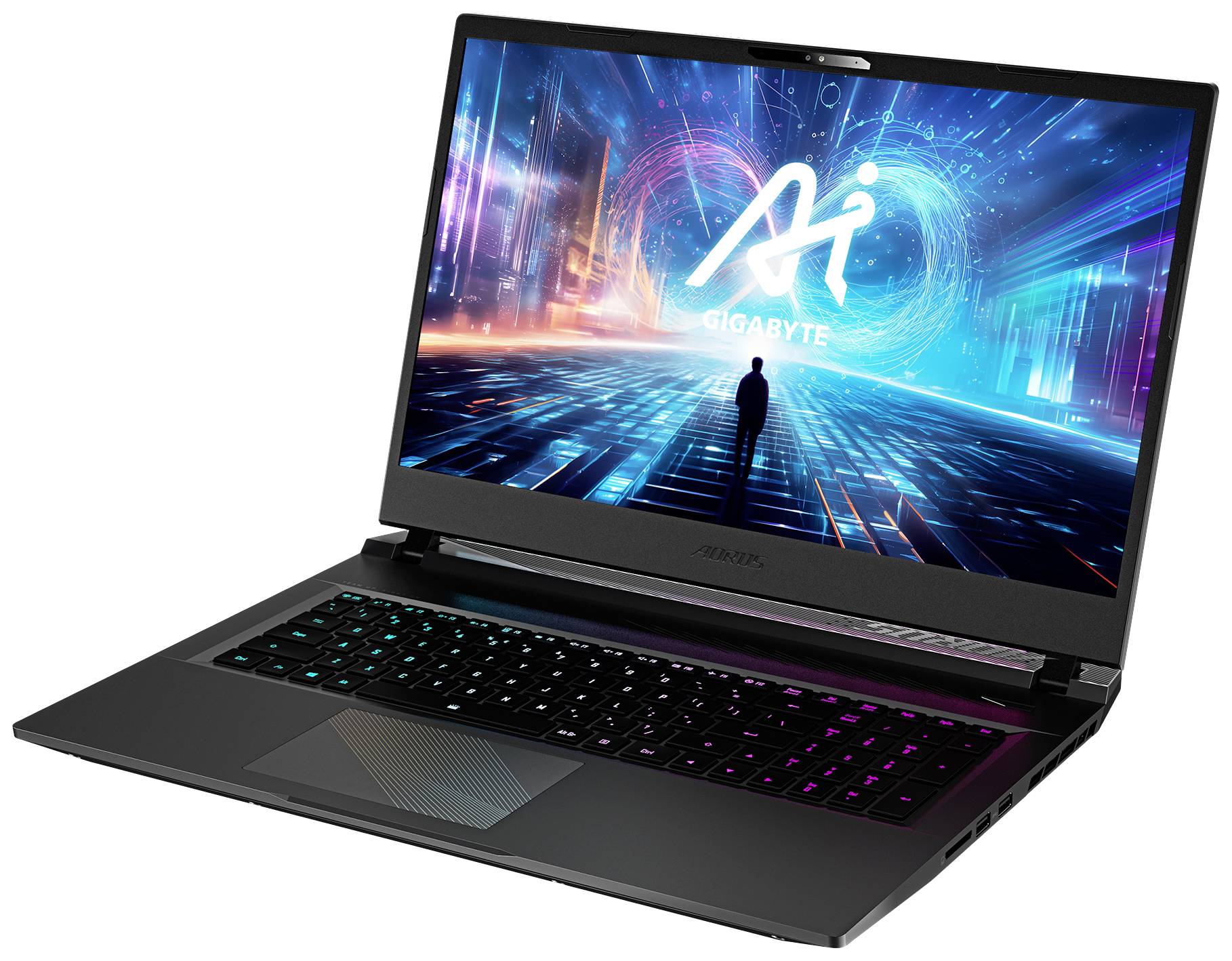 Gigabyte Gaming Notebook AORUS 17 BSF-H3DE654SH 43.9 cm (17.3 Zoll) QHD Intel® Core™ i7 i7-13620H 16 GB RAM 1 TB SSD Deutsch, QWERTZ Grau