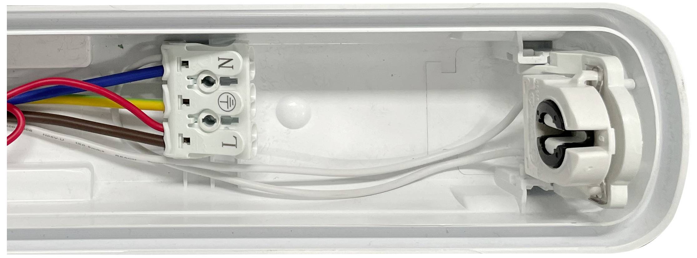 Elektrische Anschlussbox mit farbigen Kabeln, die mit einer Klemme verbunden sind, zeigt Verdrahtung für eine Leuchte.