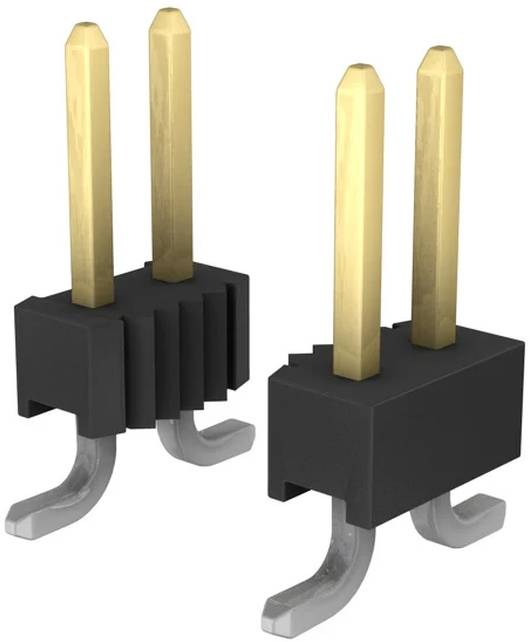 Zwei schwarze rechteckige Komponenten, jeweils mit zwei vertikalen Goldstiften und gekrümmten Metallbeinen darunter für elektronische Verbindungen.
