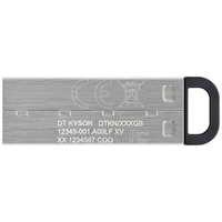 Kingston DataTraveler Kyson USB-Stick Retail 256GB Silber DTKN/256GB USB-A (USB 3.2 Gen 1) Kingston DataTraveler Kyson USB-Stick Retail 256GB Silber DTKN/256GB USB-A (USB 3.2 Gen 1)