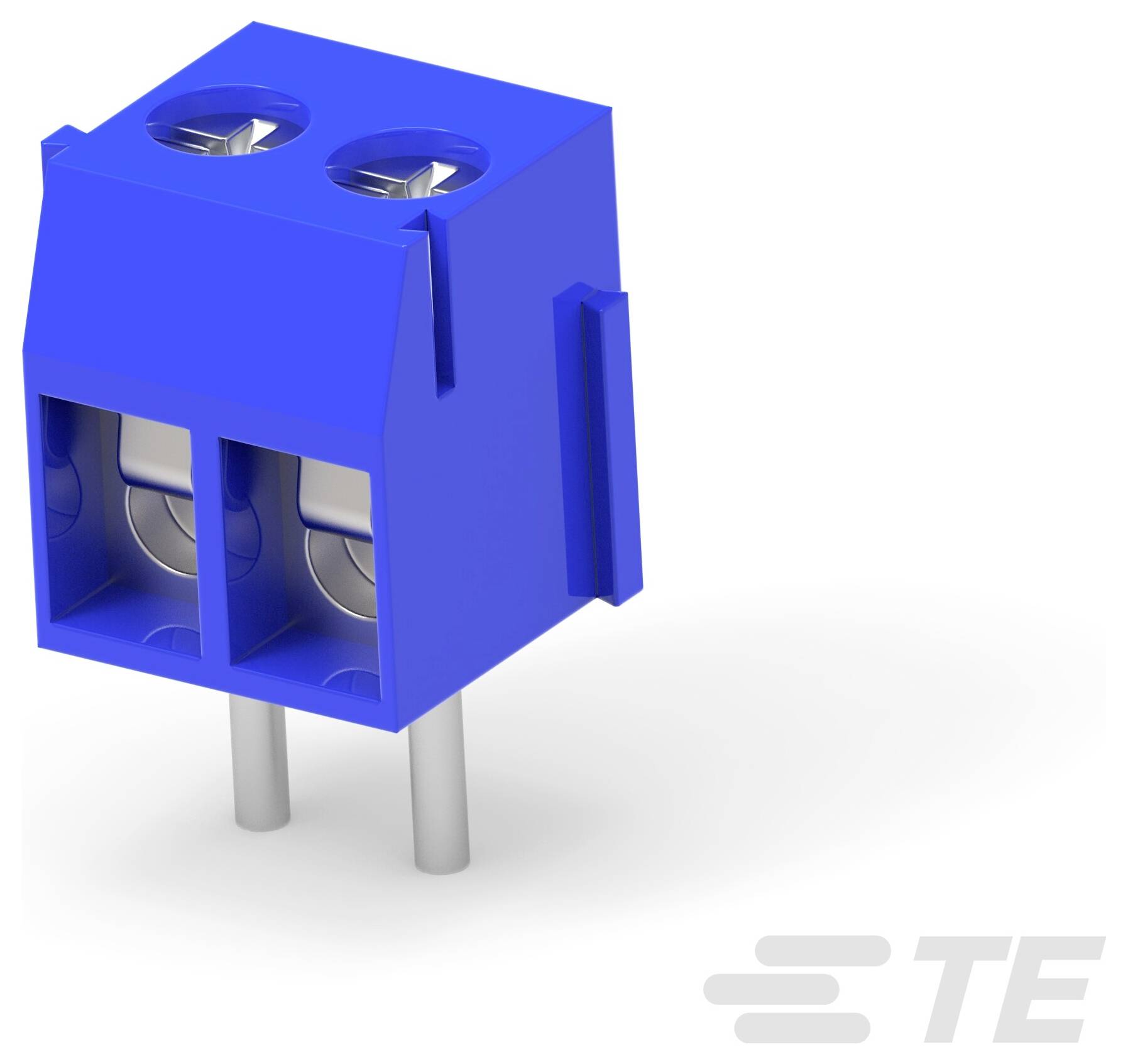Ein blauer Klemmblock mit zwei Positionen und zwei Anschlüssen, der für elektrische Verbindungen verwendet wird; dargestellt isoliert auf weißem Hintergrund.