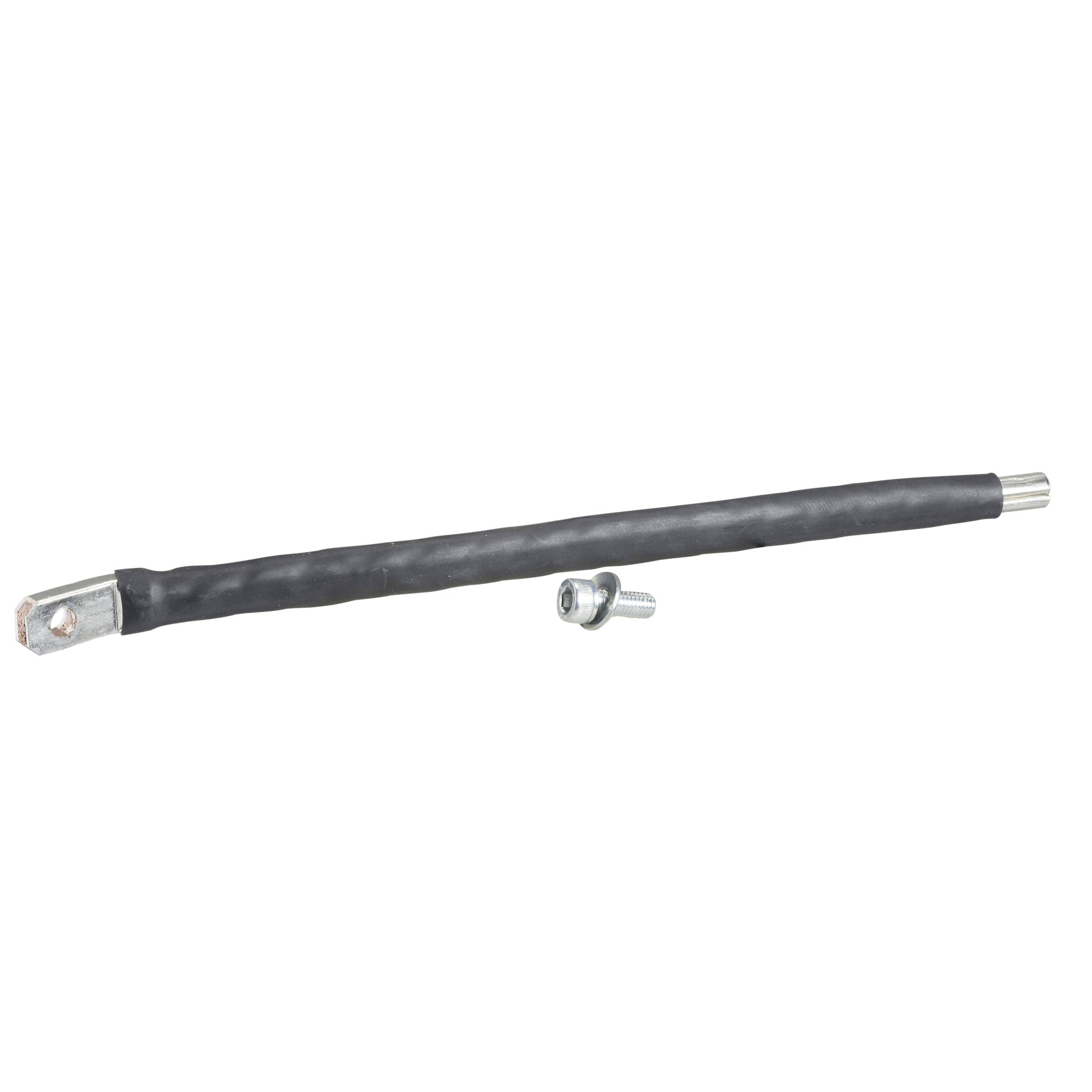 Ein schwarzes, isoliertes Kabel mit einem Kupferkabelschuh an einem Ende und einer kleinen Metallschraube daneben.
