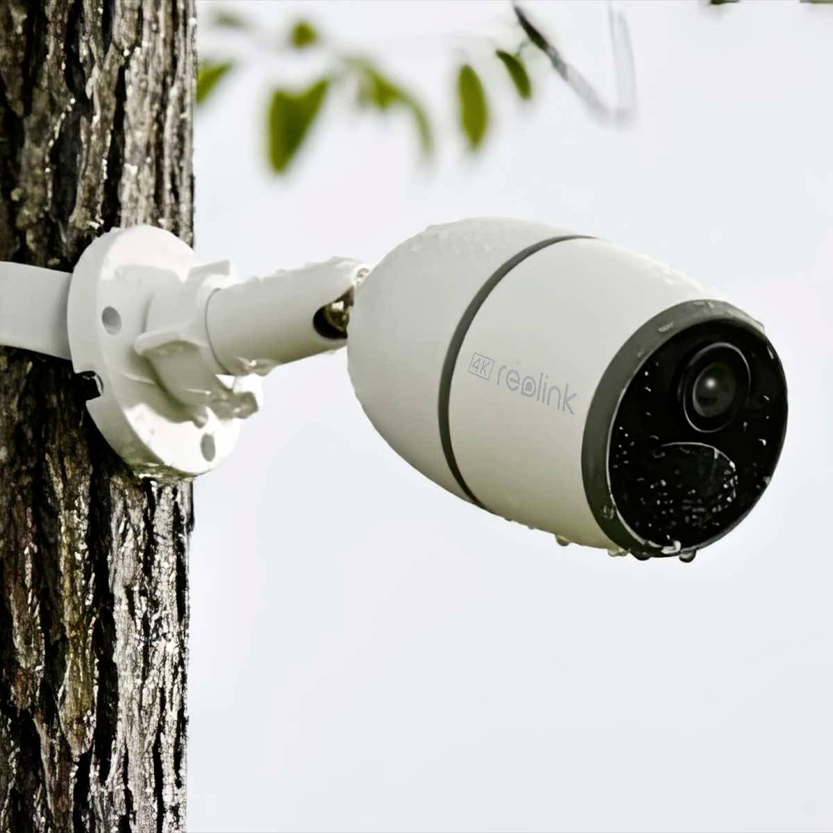 Eine Überwachungskamera ist an einem Baum befestigt, zeigt in eine Richtung. Sie dient zur Überwachung im Freien.