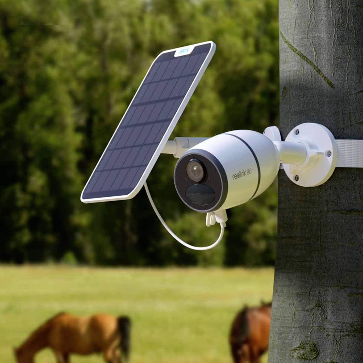 Überwachungskamera mit Solarpanel an einem Baum montiert, grüne Wiese und unscharfe Pferde im Hintergrund.