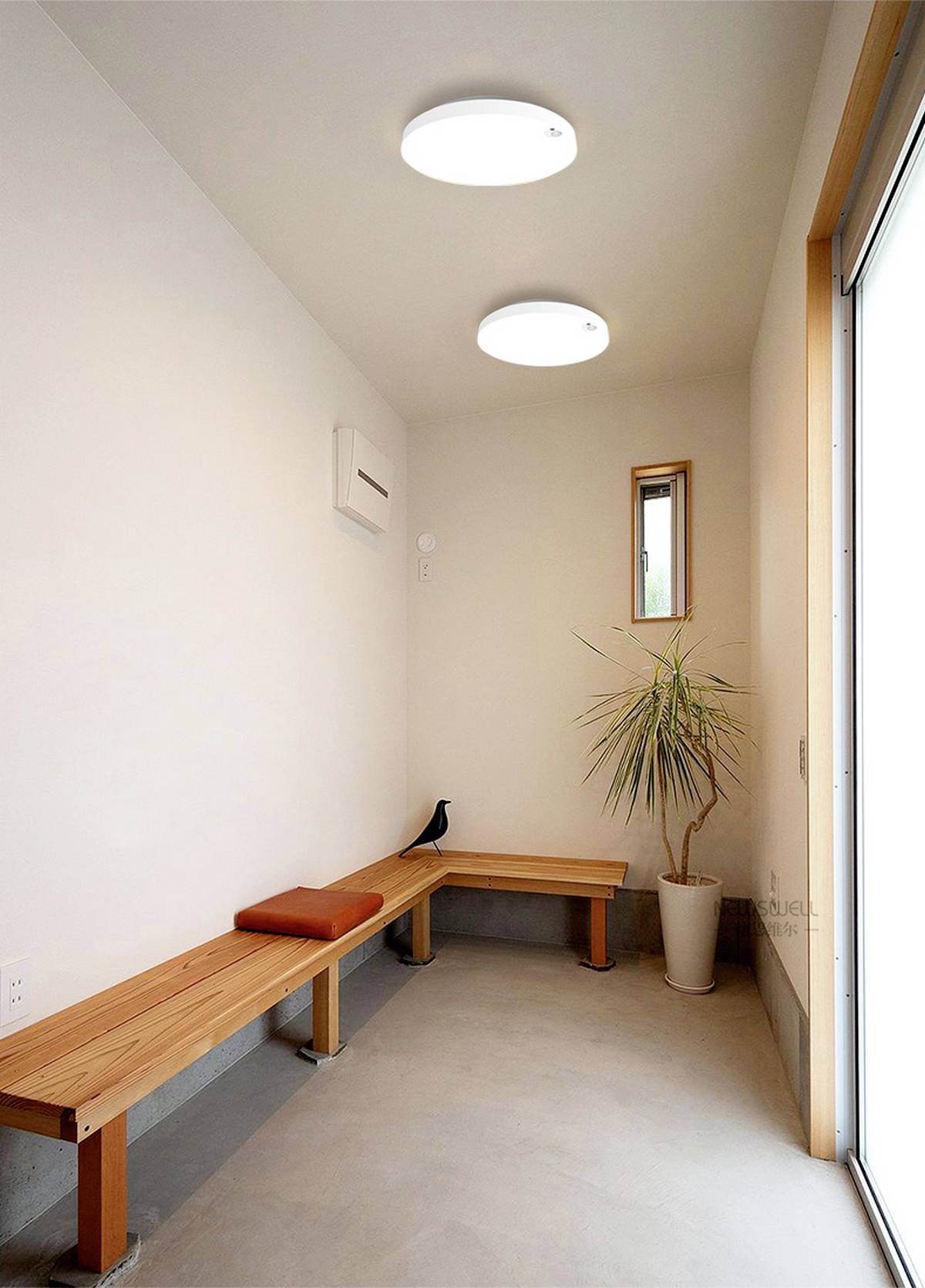 Moderner, minimalistisch eingerichteter Raum mit Holzbänken, einem Topfpflanze, einer kleinen Öffnung an der Wand und Tageslichteinstrahlung.