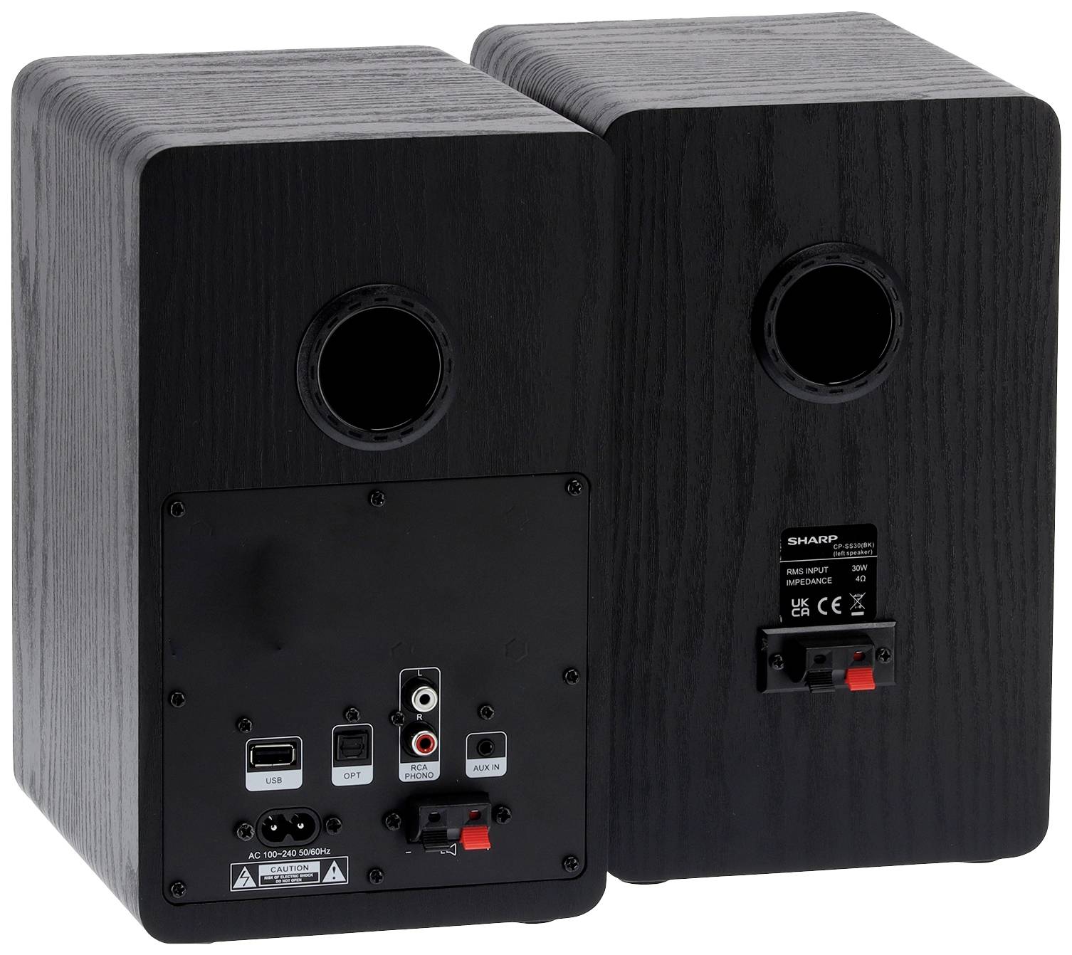 Sharp CP-SS30 Regallautsprecher Schwarz 60W 1 Paar