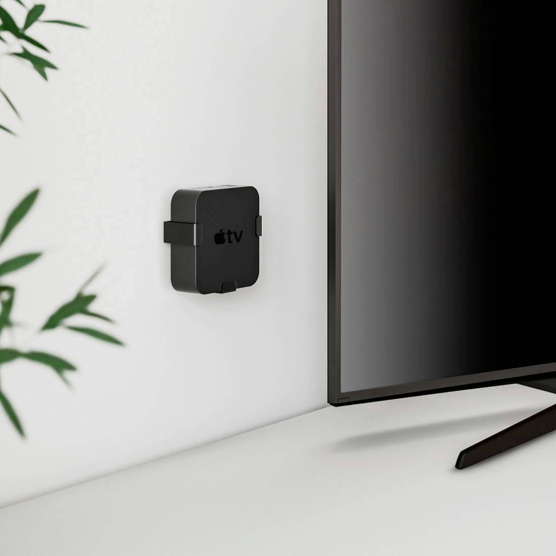 Ein schwarzer Apple TV ist an einer weißen Wand neben einem großen Flachbildfernseher montiert. Links sind grüne Blätter zu sehen.