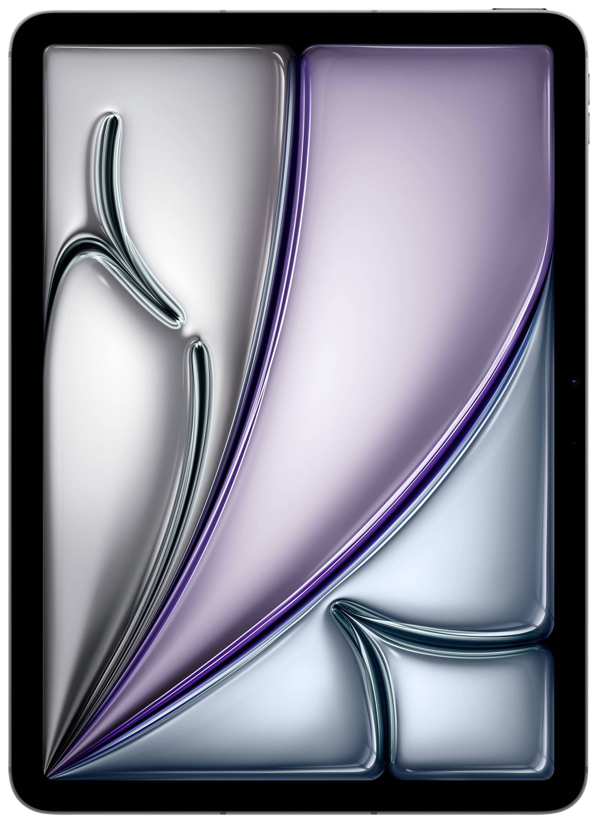 Apple iPad Air 11 (M2, 2024) WiFi + Cellular 1TB Spacegrau 27.9cm (11 Zoll) M2