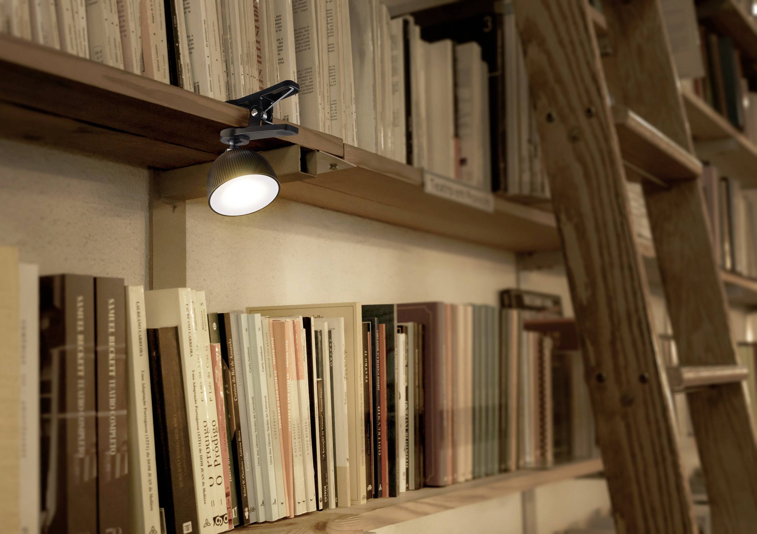Bücherregal mit hölzernem Leiterregal, gefüllt mit verschiedenen Büchern. Eine Leselampe beleuchtet die Bücher.