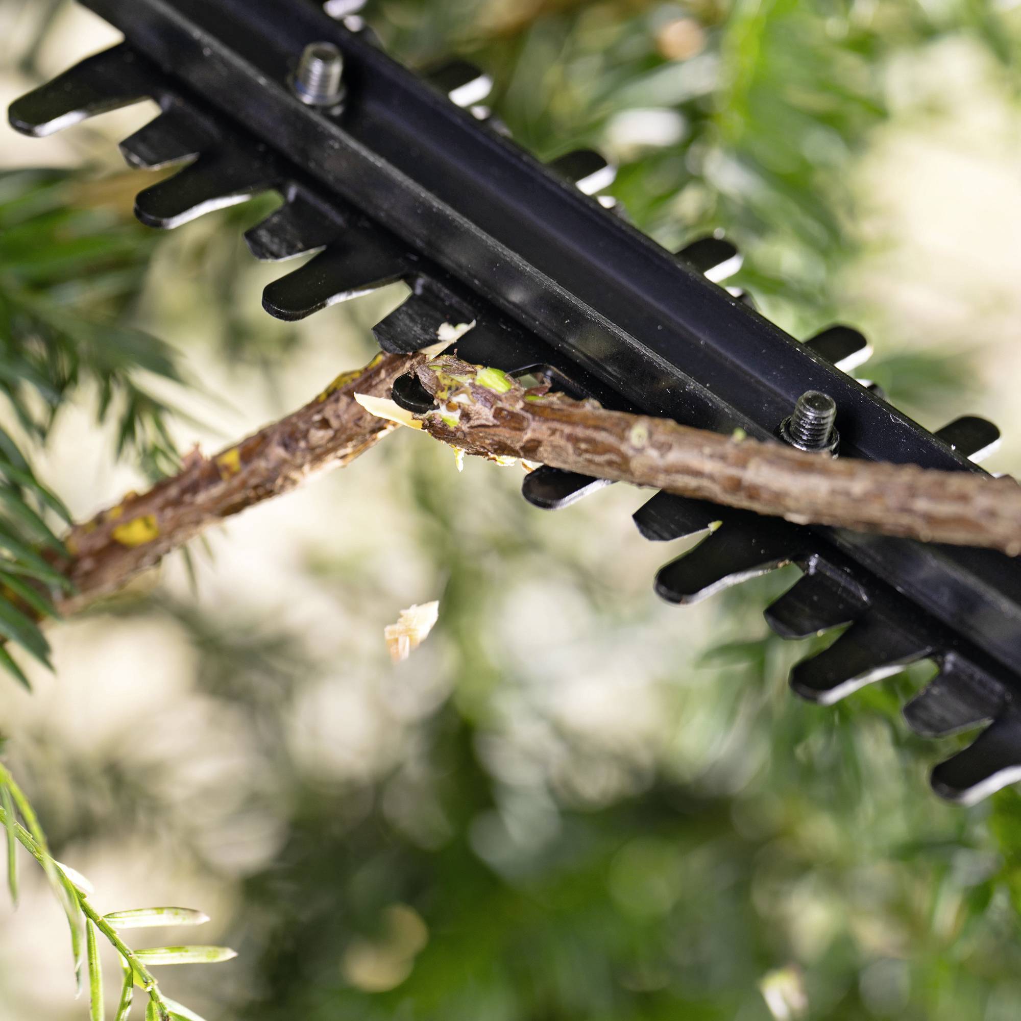 Bosch Home and Garden EasyHedgeCut 18V-44-11 Akku Akku-Heckenschere ohne Akku, ohne Ladegerät Li-Ion