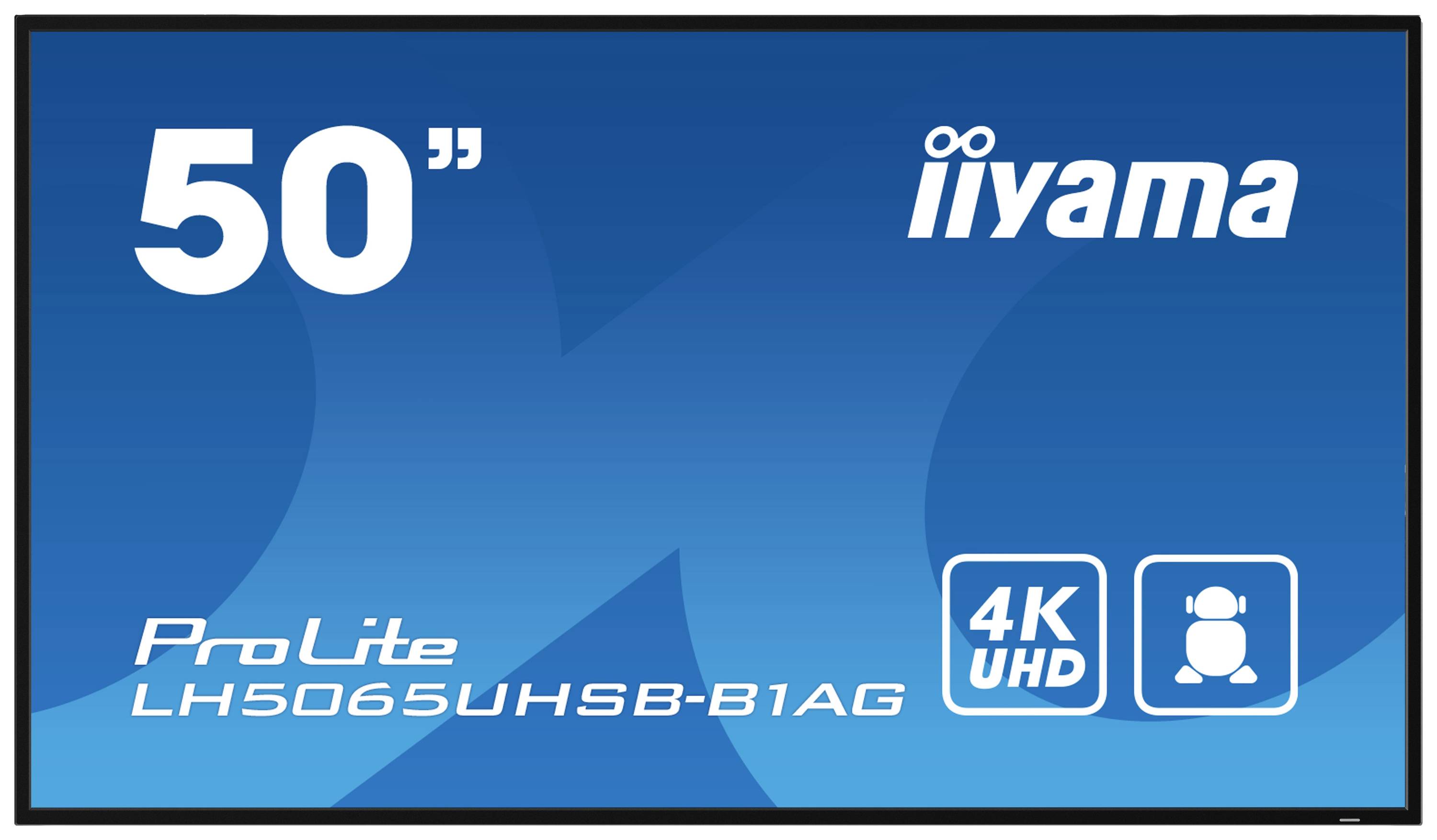 50-Zoll iiyama ProLite Bildschirm, Modell LH5065UHSB-B1AG, auf blauem Hintergrund. Textelemente: '4K UHD'.