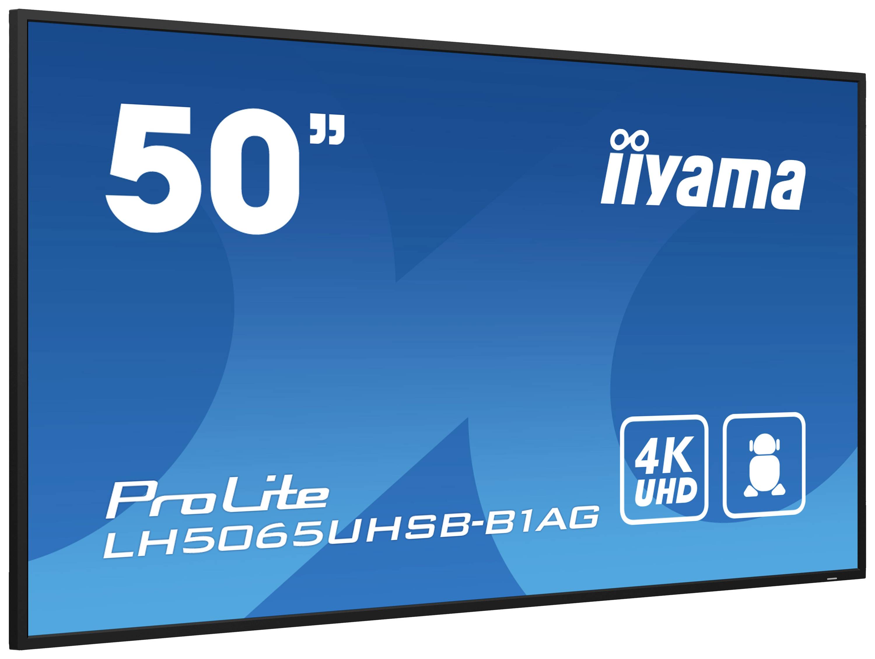 Ein blaues Display zeigt 'iiyama ProLite LH5065UHSB-B1AG', eine 50 Zoll 4K UHD Anzeige.
