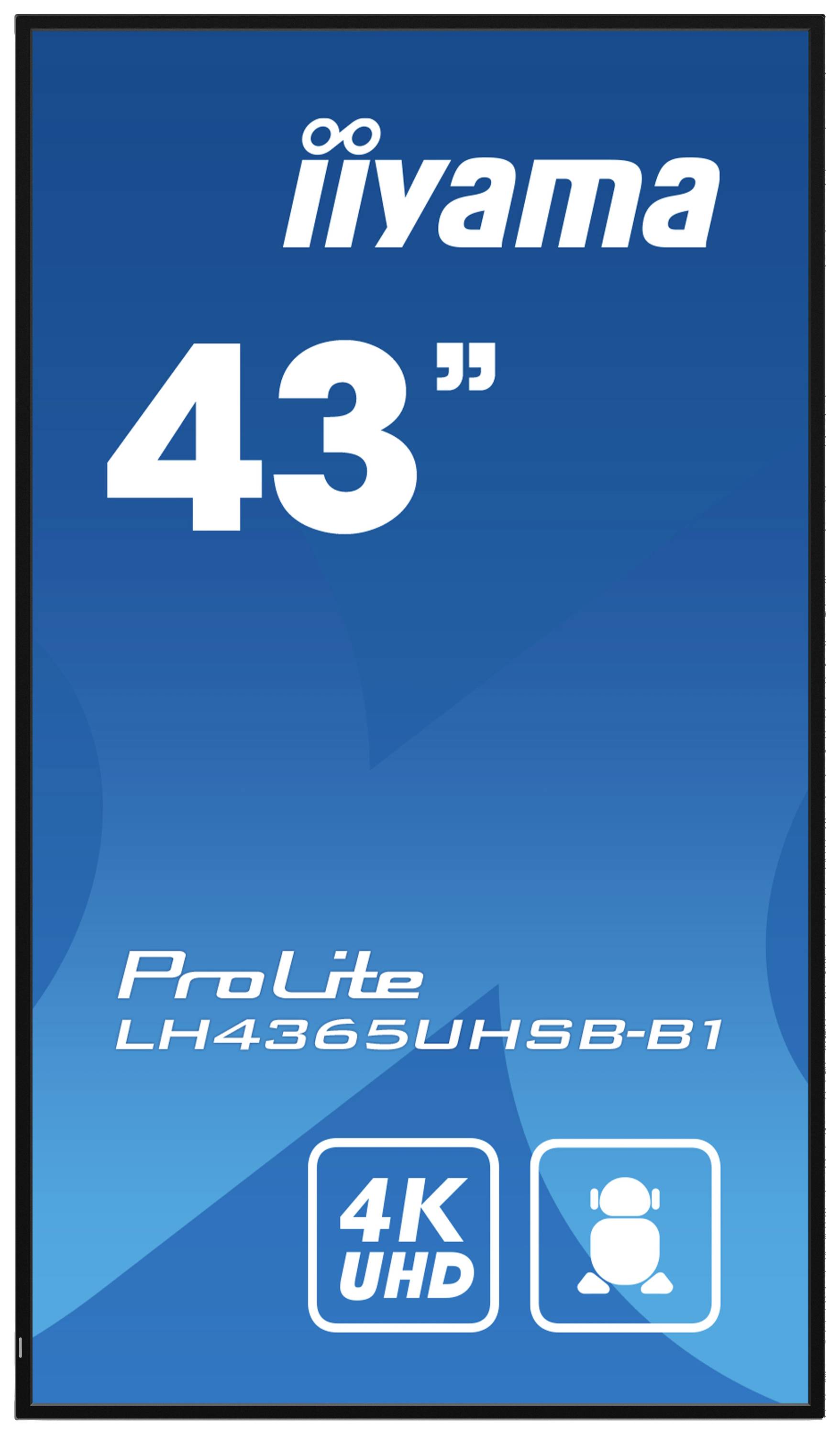 43-Zoll-iiyama-Display mit Modellnummer LH4365UHSB-B1, 4K UHD-Auflösung, geeignet für Digital Signage-Anwendungen.