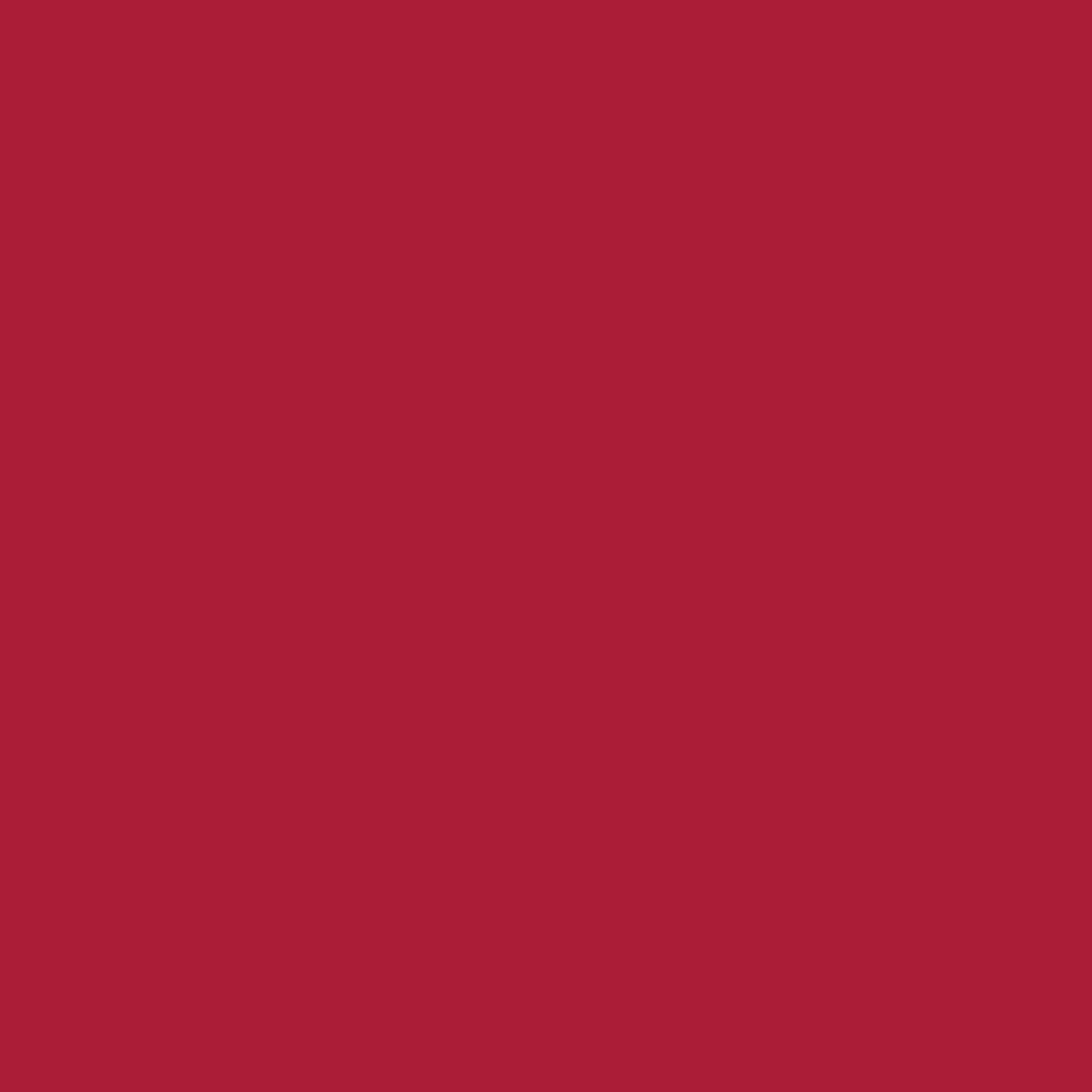 Roter, einfarbiger Hintergrund ohne Text oder Symbole, dekorativ.