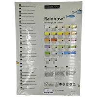 Rainbow 88042808 Universal Druckerpapier Kopierpapier DIN A3 80 g/m² 500 Blatt Grau Rainbow 88042808 Universal Druckerpapier Kopierpapier DIN A3 80 g/m² 500 Blatt Grau