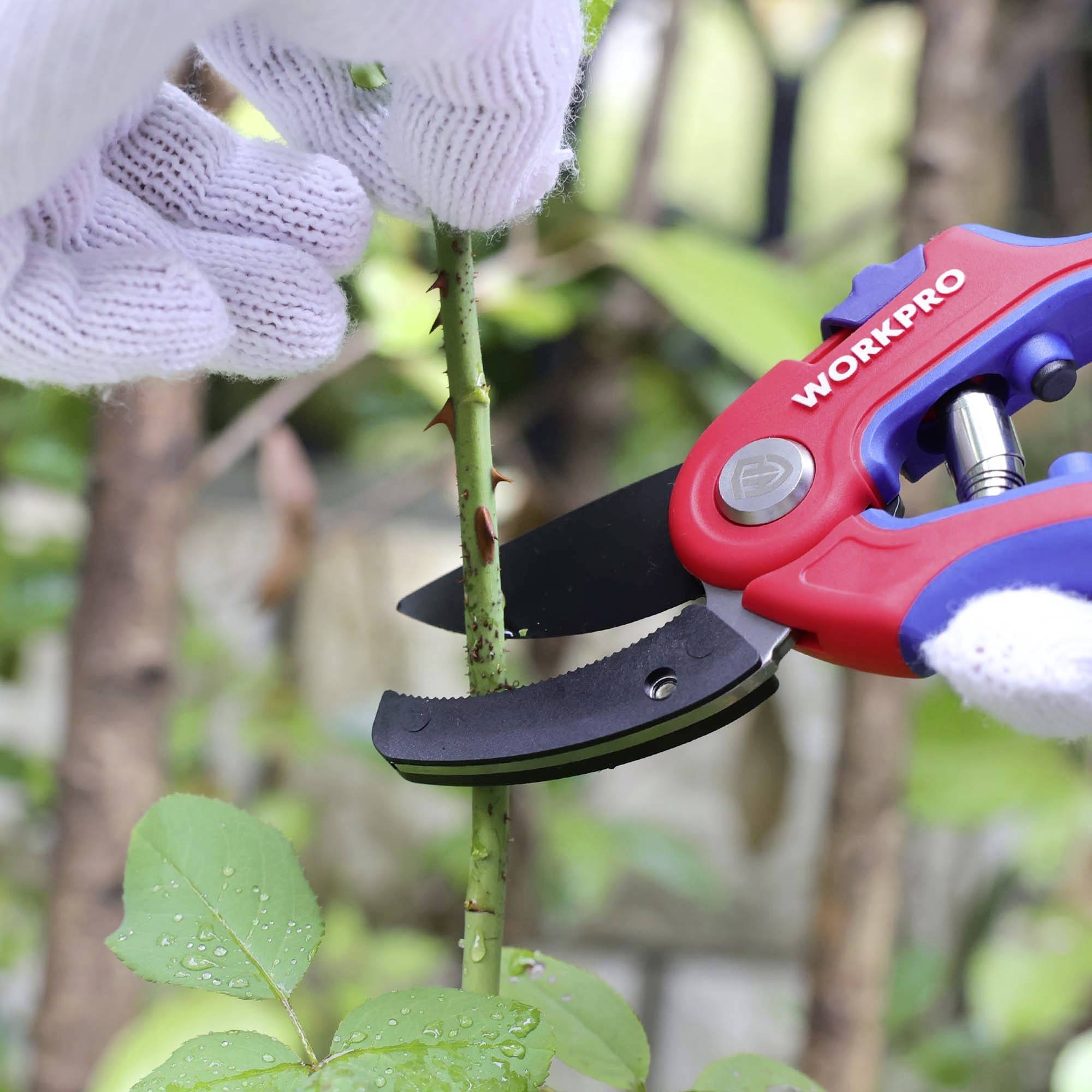 WorkPro WP332010 Amboss-Schere mit Schnitthöhenverstellung, inkl. Gras- und Strauchscherenvorsatz