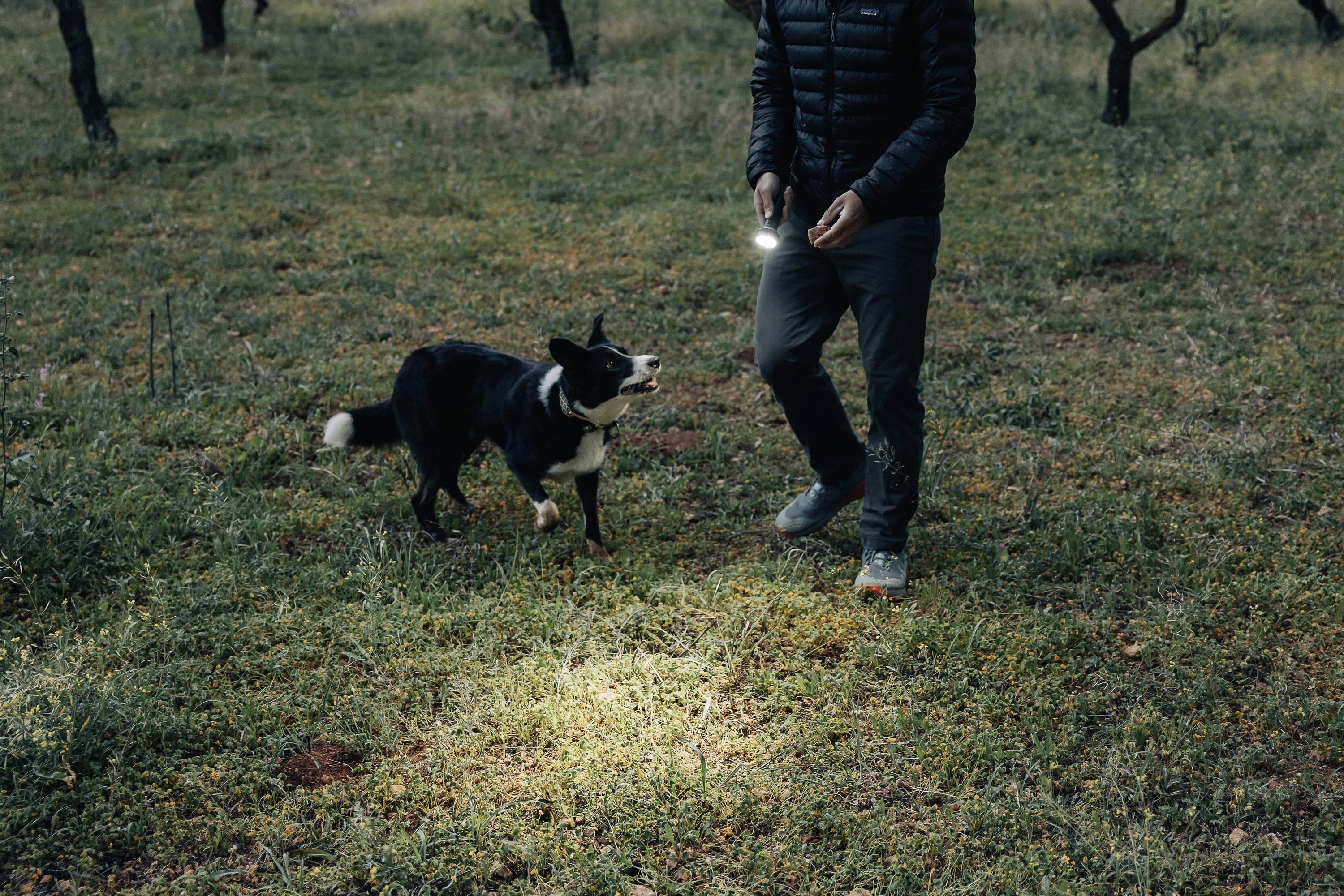 OLight Prowess Prowess LED Taschenlampe 800lm, 1200lm, 5000lm akkubetrieben 269g Schwarz