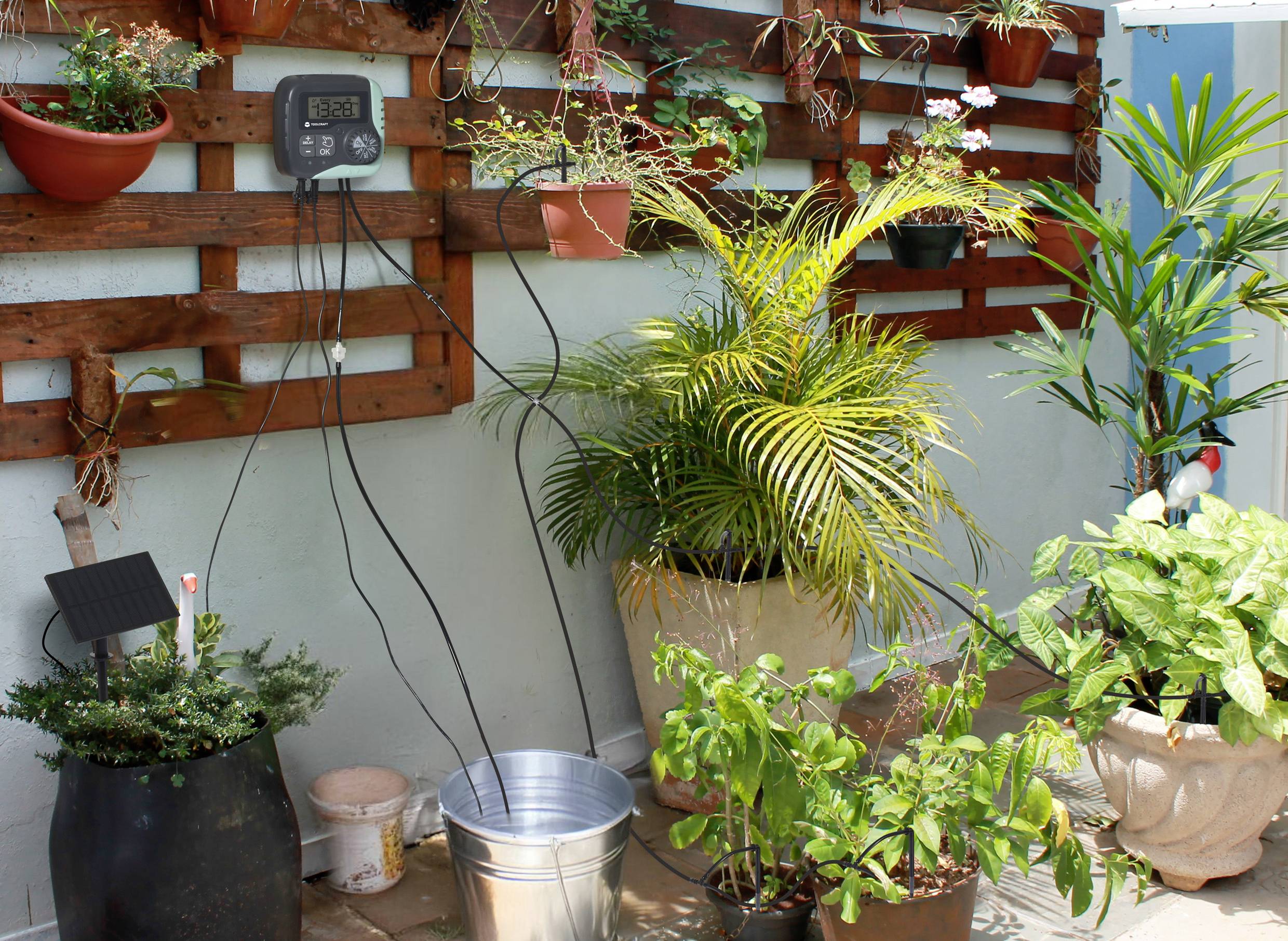 Automatisiertes Bewässerungssystem für Pflanzen mit digitalem Timer an Holzwand, mehrere Pflanzen in Töpfen im Außenbereich.