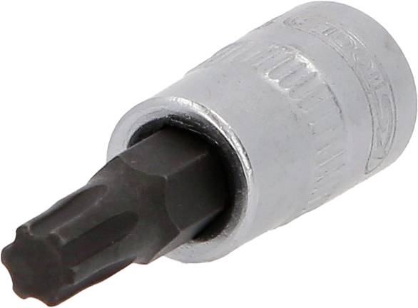 Ein silberner Steckschlüsseleinsatz mit einem schwarzen Torx-Bit, das zur Befestigung von Schrauben mit Sternprofil verwendet wird.