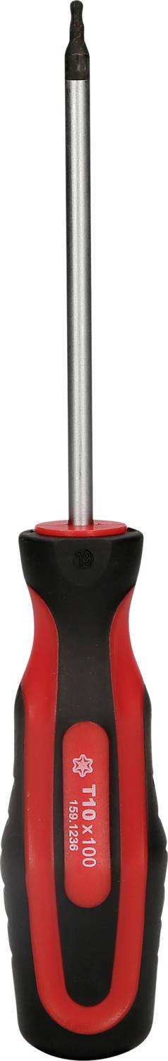 Ein Schraubendreher mit rotem und schwarzem Griff, geeignet für Torx-Schrauben.