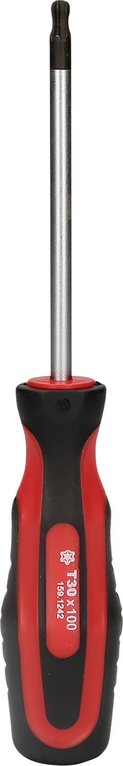 Roter Schraubendreher mit schwarzem Griff.