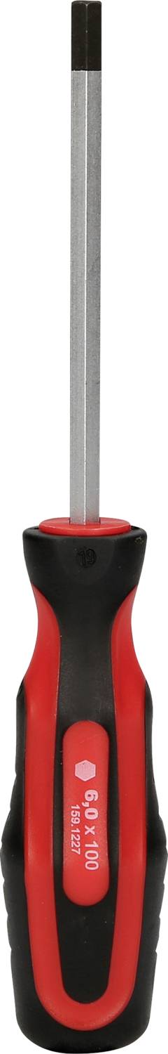 Schraubendreher mit rot-schwarzem Griff und langem, zylindrischem Metallstab, geeignet für Arbeiten mit Schrauben.