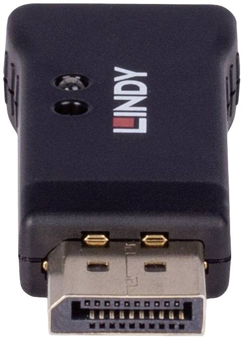 Schwarzer DisplayPort-Adapter mit metallischem Anschluss, Markenname 'LINDY' aufgedruckt. Verbindet DisplayPort mit anderen Geräten.