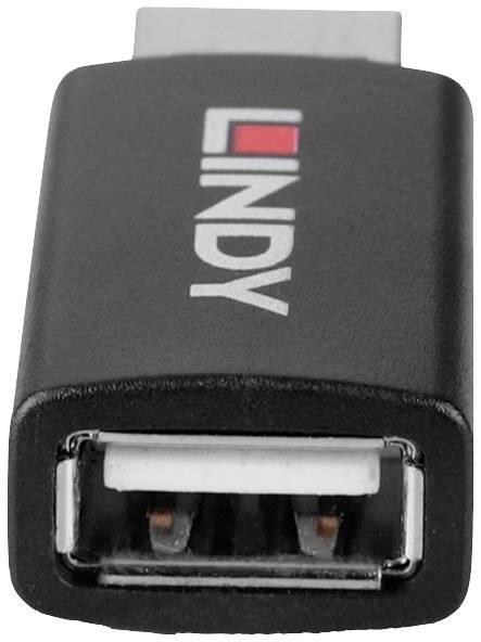 LINDY USB 2.0 Adapter Data-Blocker with Battery Charging 1.2