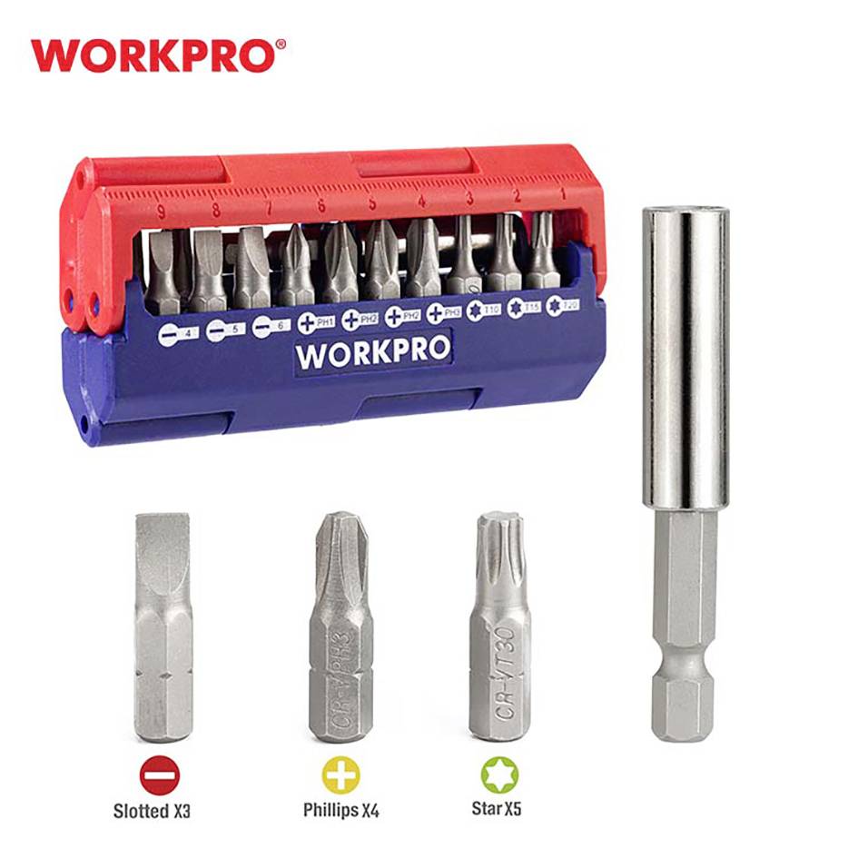 Werkzeugset mit Bithalter und verschiedenen Bit-Typen: Schlitz, Phillips und Stern. Rotes und blaues Etui mit 'WORKPRO'-Logo.