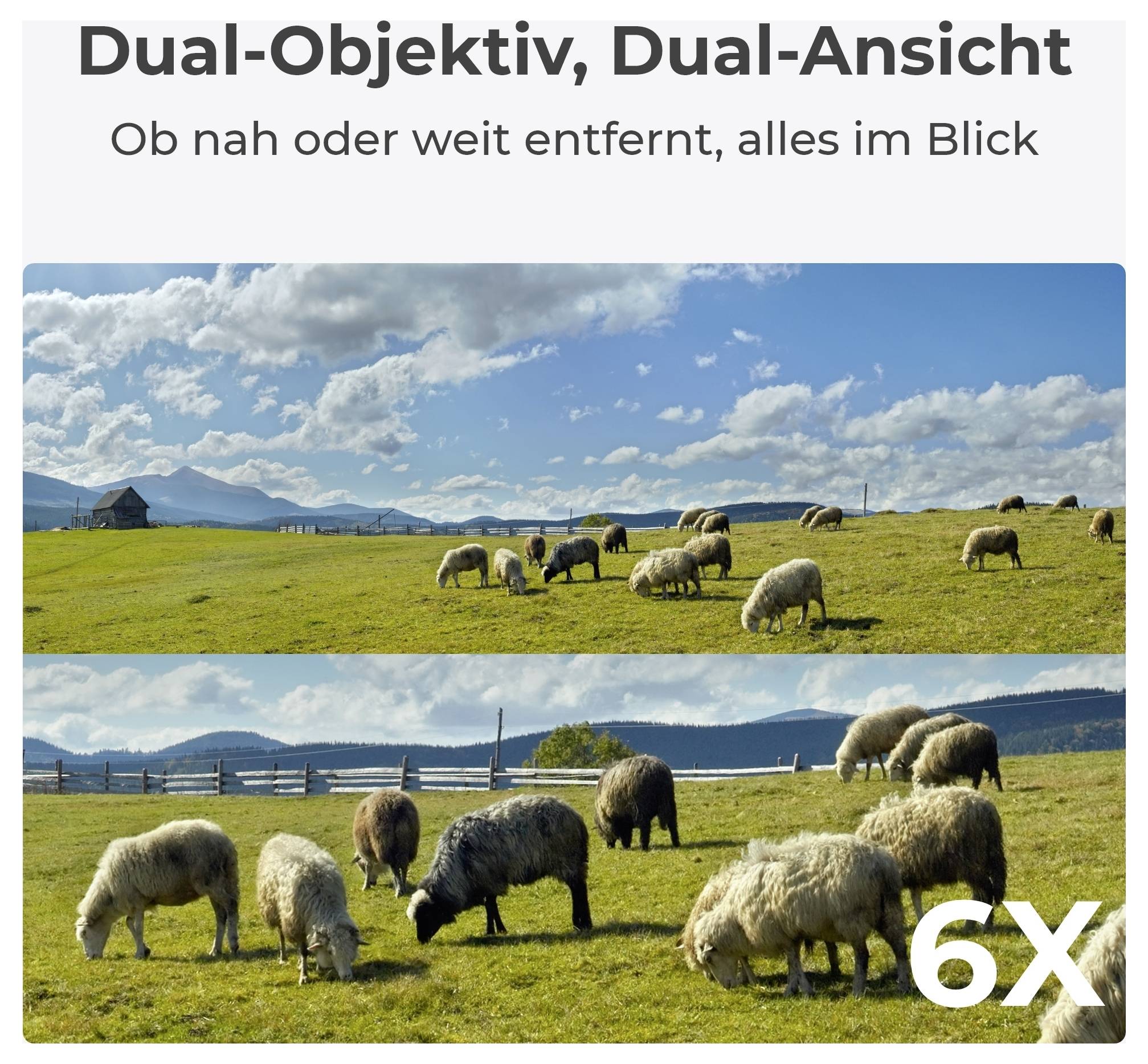 Reolink Trackmix Series G770 GSM IP Überwachungskamera 3840 x 2160 Pixel