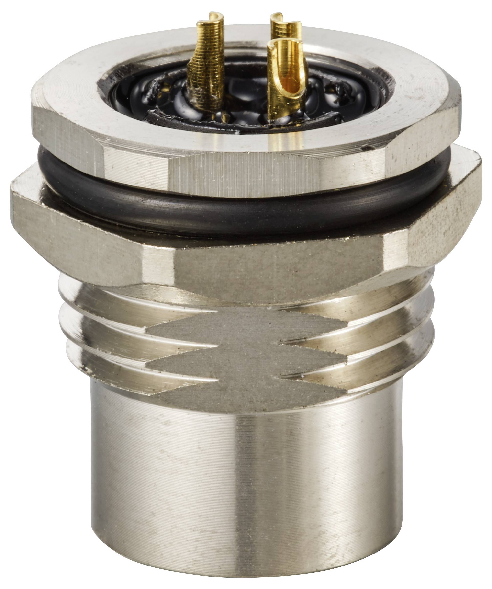 Ein Metallstecker mit zwei goldfarbenen Pins und Gewinde. Gedacht für elektrische Verbindungen oder industrielle Anwendungen.