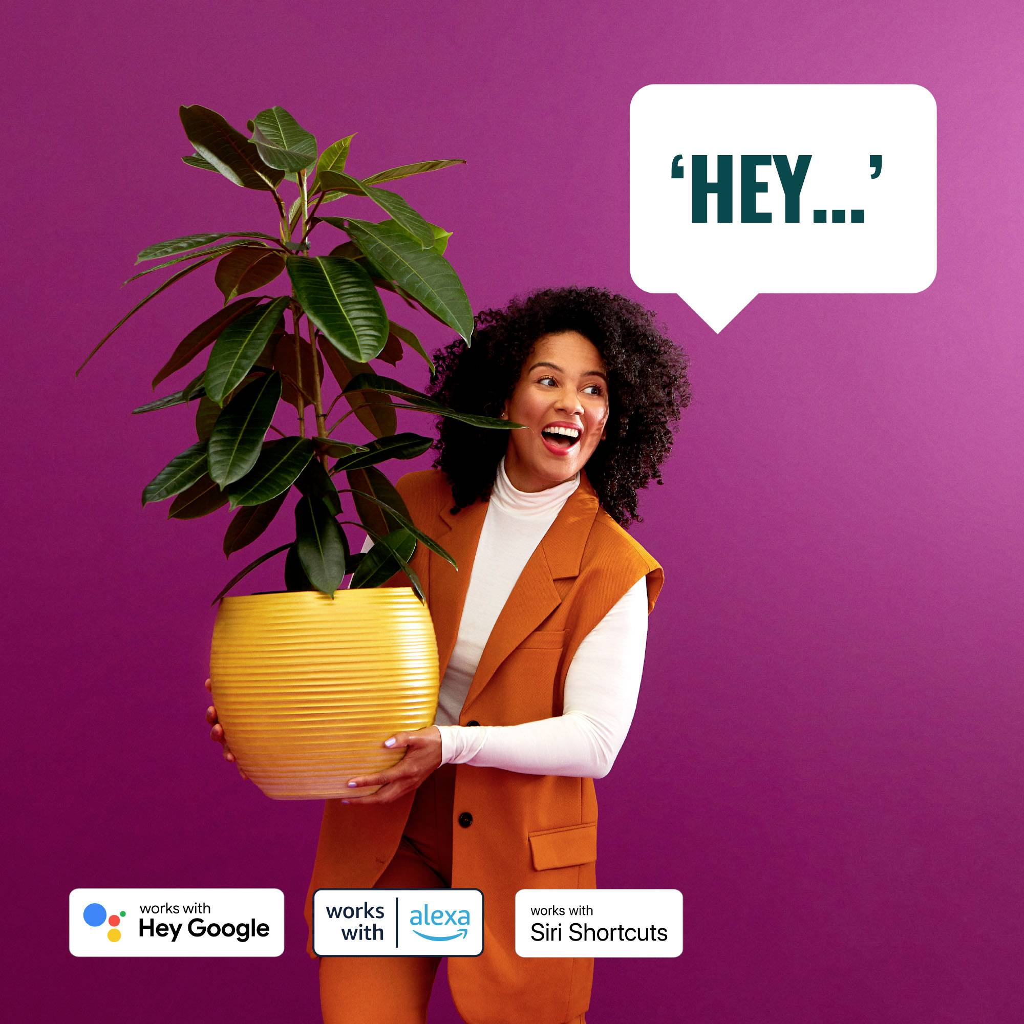 Eine lächelnde Person hält eine Topfpflanze vor einem lila Hintergrund. Text auf dem Bild: 'Hey...'. Markenlogos von Google, Alexa und Siri sind sichtbar.