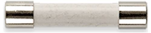 Gossen Metrawatt Z109P FF 0,315 A/1000 V Sicherung 10 St.