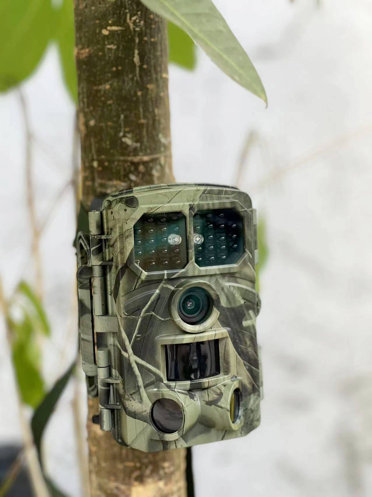 Denver WCT-8026W Wildkamera 48 Megapixel Camouflage