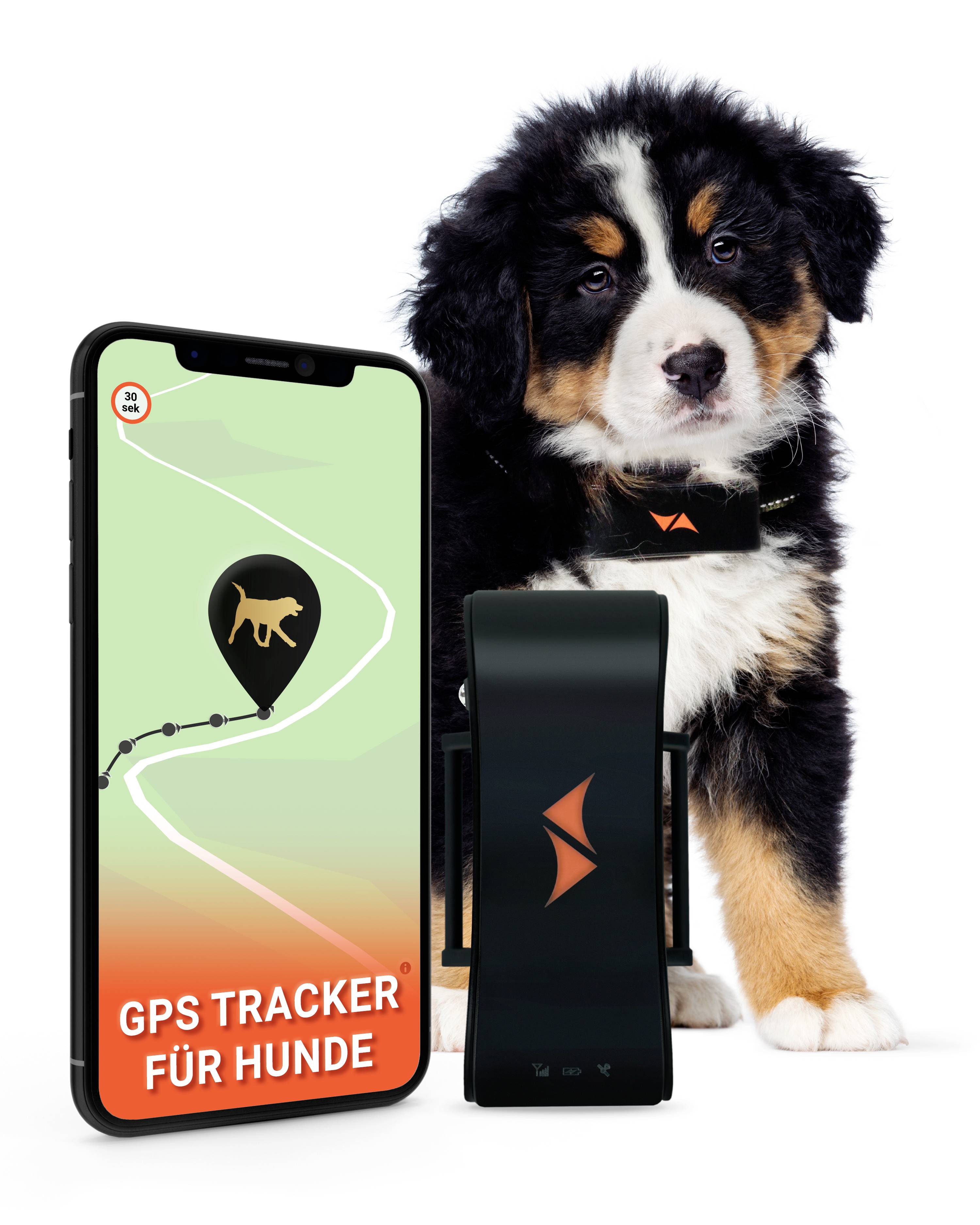 PAJ GPS PET Finder 4G GSM-Tracker Haustiertracker 1 St.